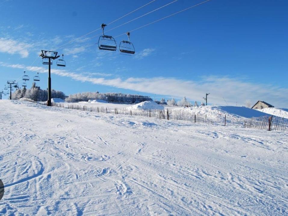 Gite Spa "La Foret Argentee" Proche Gerardmer Laveline-du-Houx Esterno foto