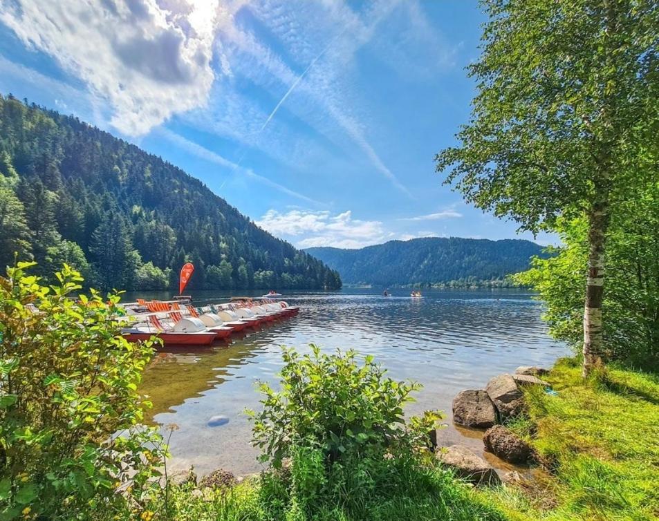 Gite Spa "La Foret Argentee" Proche Gerardmer Laveline-du-Houx Esterno foto