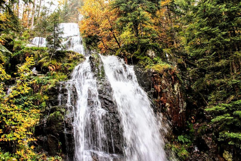 Gite Spa "La Foret Argentee" Proche Gerardmer Laveline-du-Houx Esterno foto